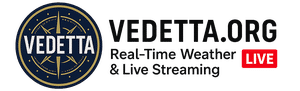 vedetta